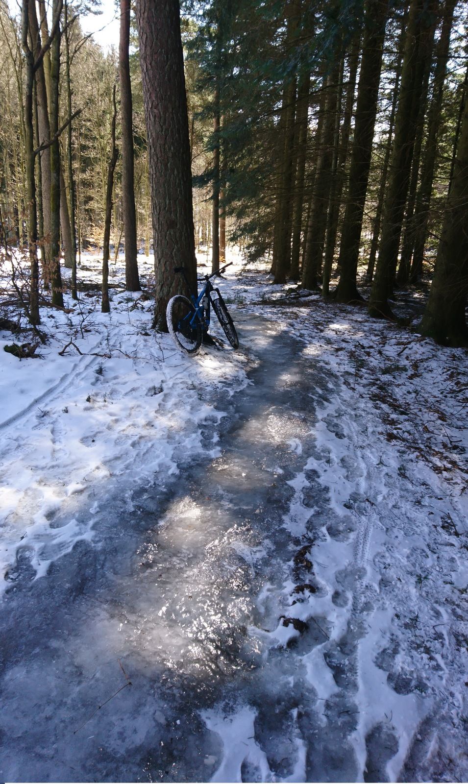 DSC_0077.JPG