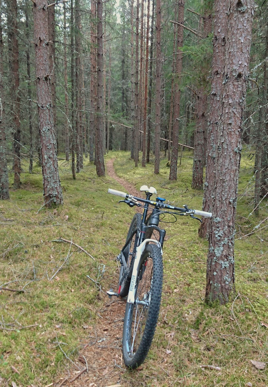 DSC_0095-01.jpeg