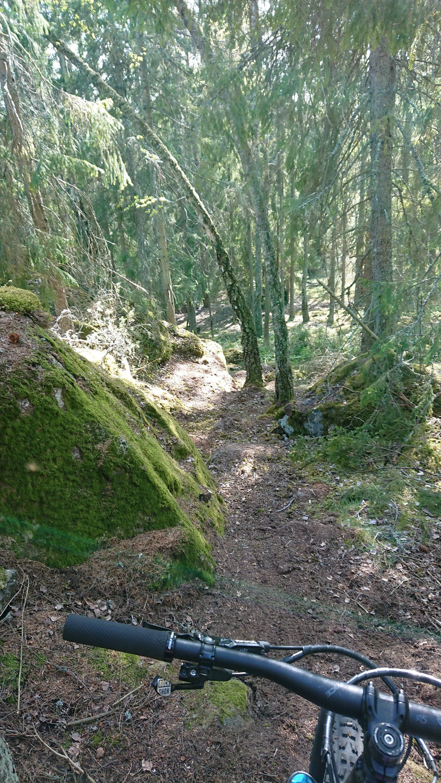 DSC_0098.JPG