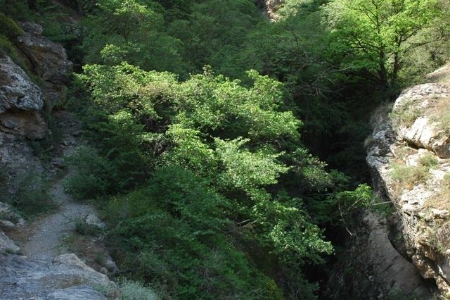 DSC_0111.JPG ht=426
