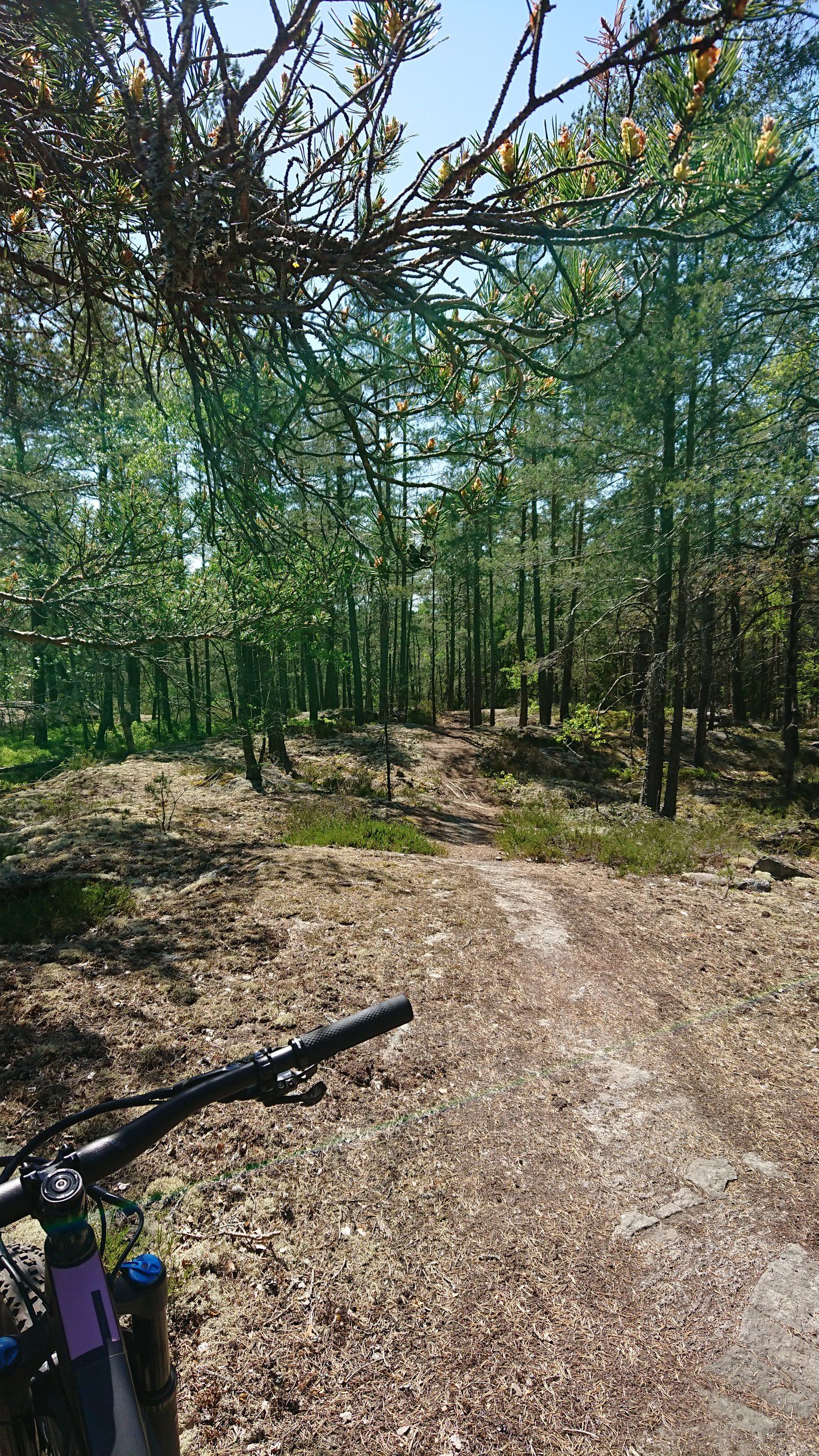 DSC_0112.JPG