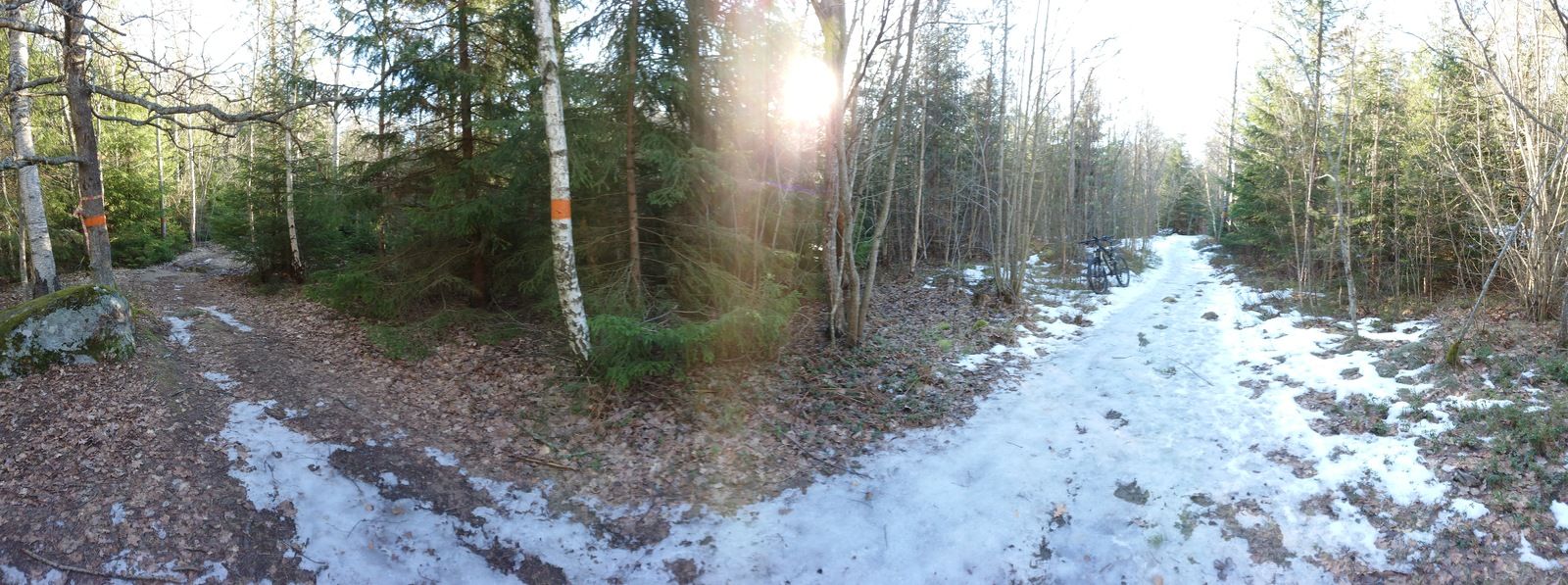 DSC_0122.JPG