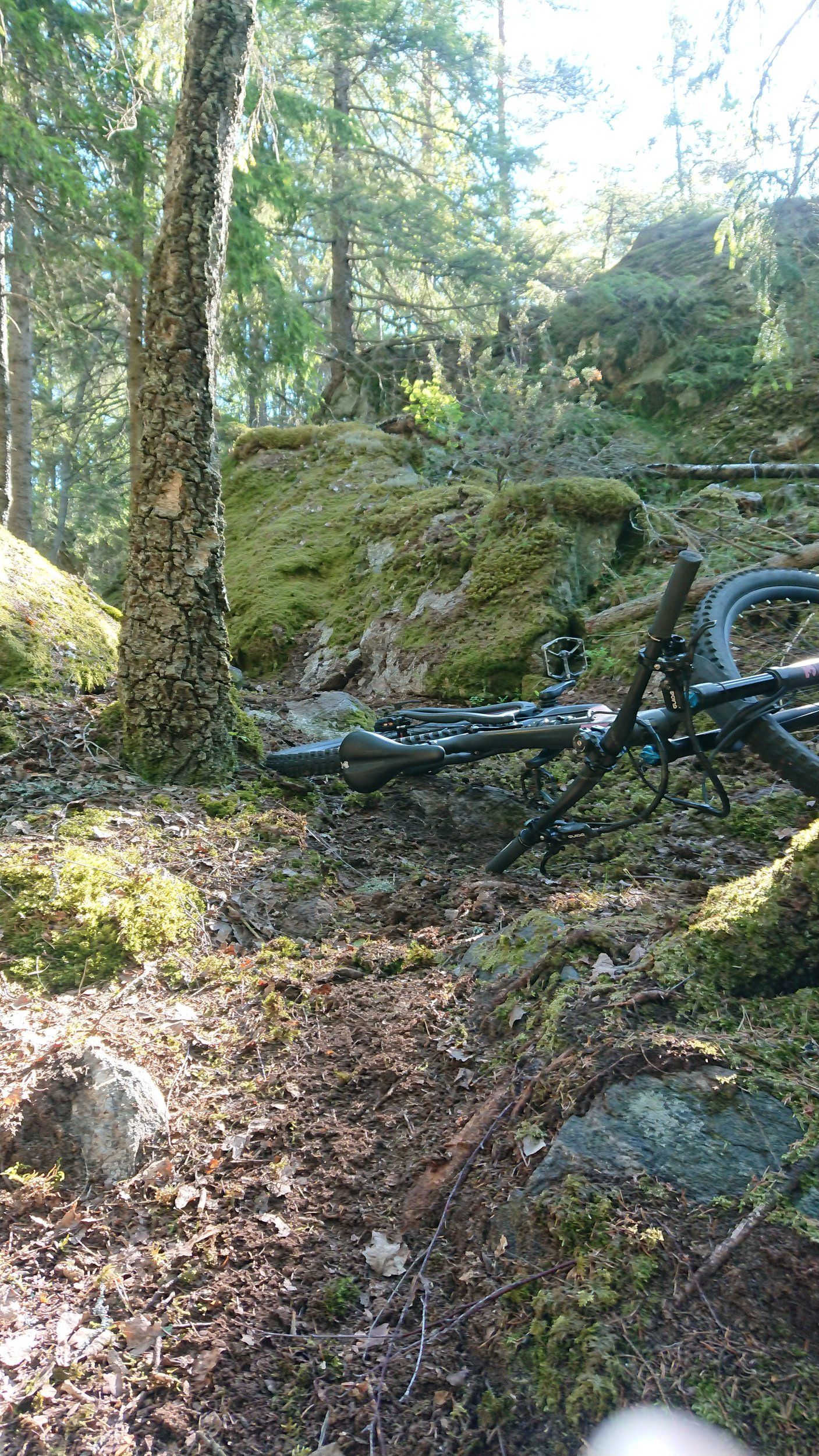 DSC_0128.JPG