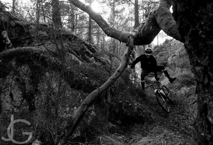 DSC_0134copy.jpg