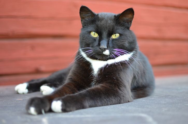 DSC_0134.JPG