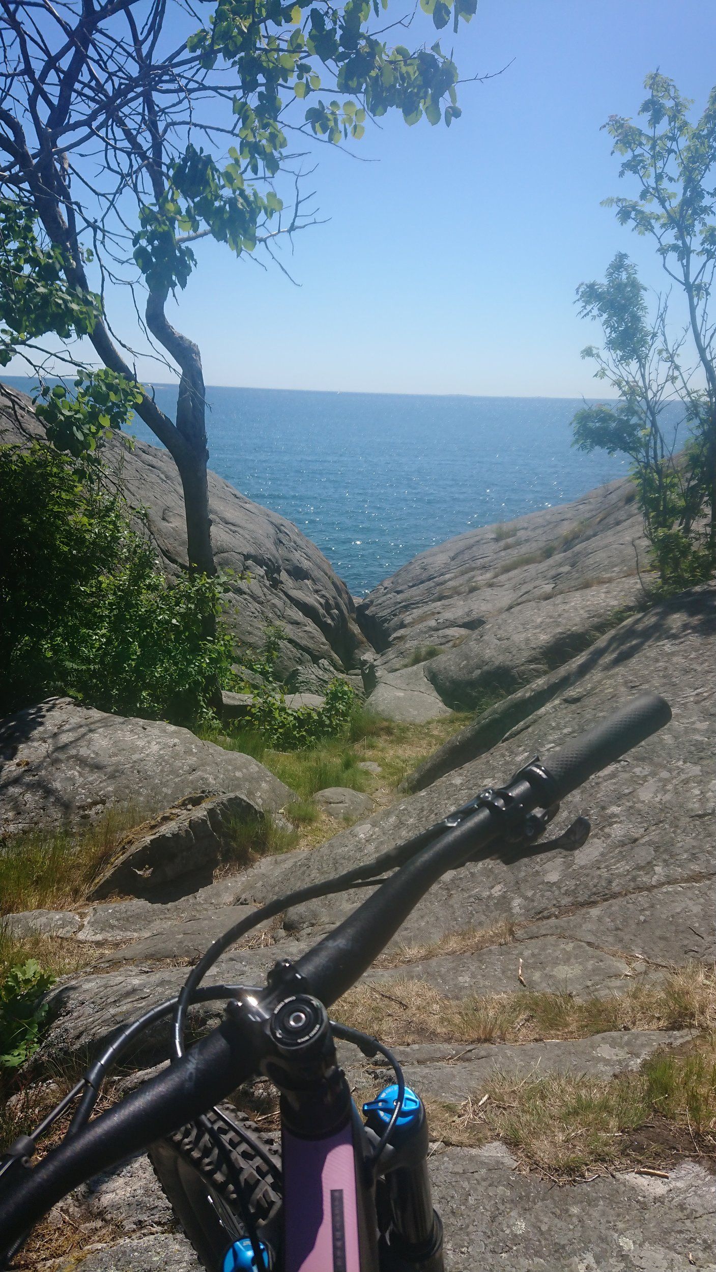 DSC_0139.JPG