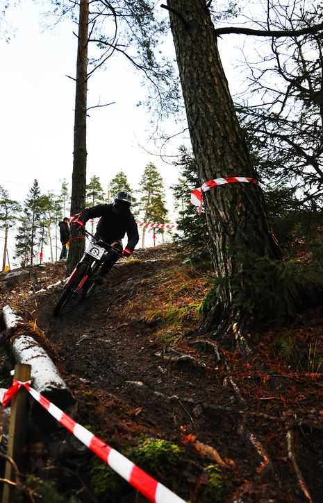 DSC_0143copy.jpg ht=725