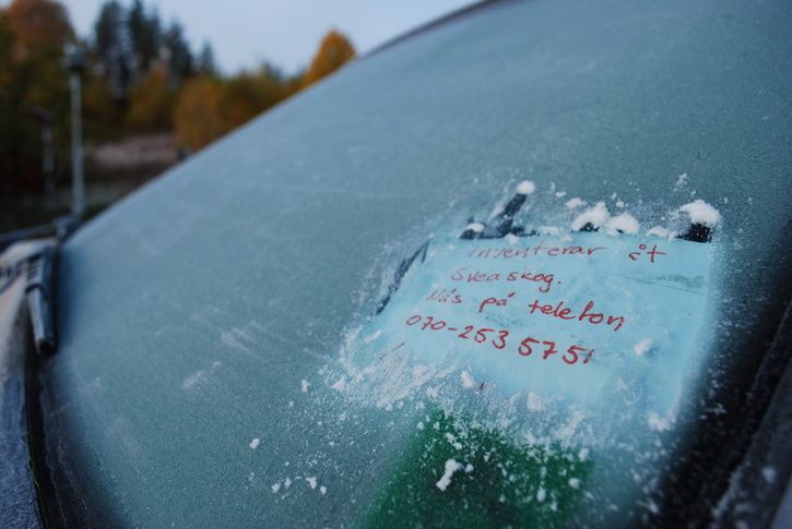 DSC_01542_resize.JPG ht=485