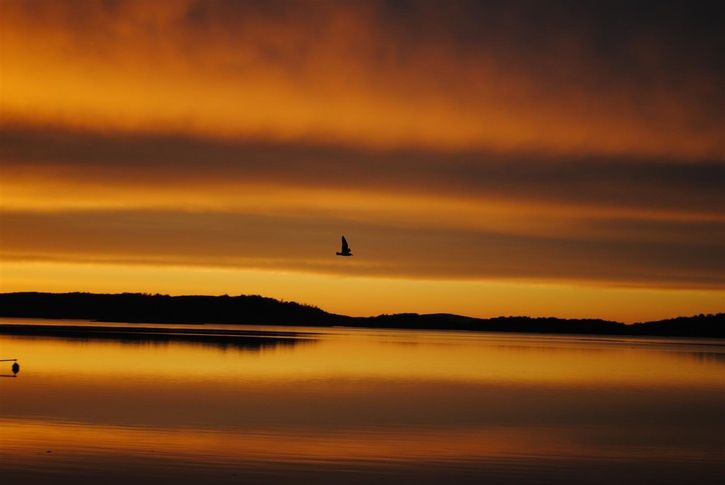 DSC_0160Large.JPG ht=485