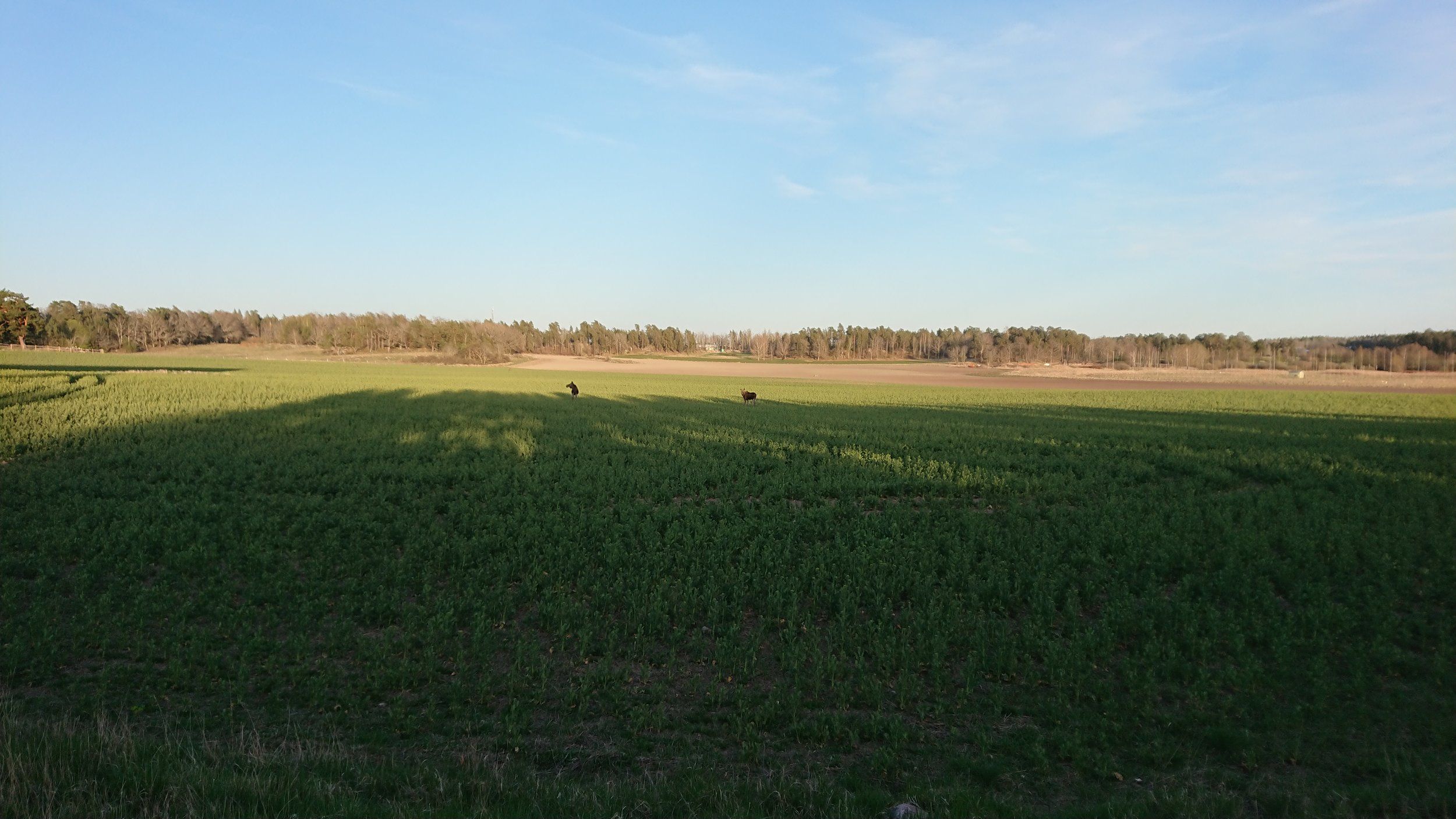 DSC_0166.JPG