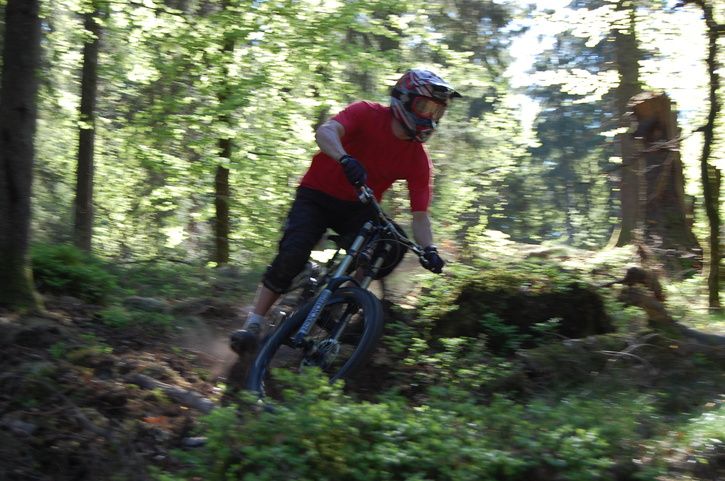 DSC_0173.JPG ht=481