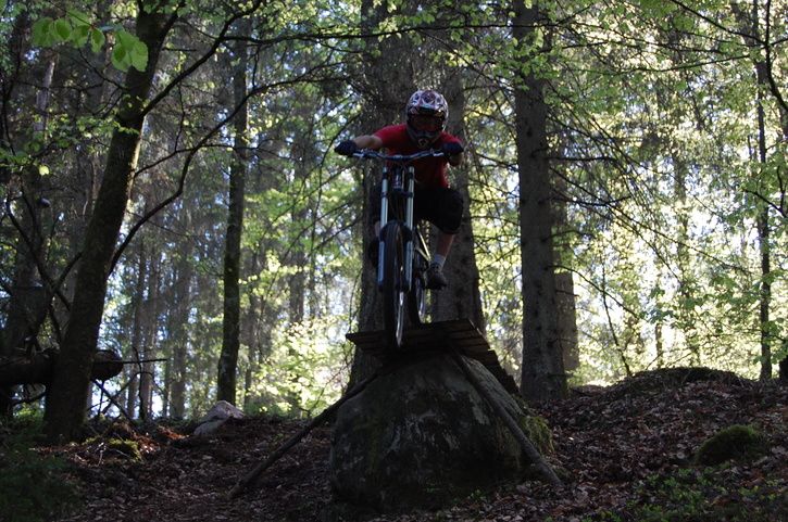 DSC_0186.JPG ht=481