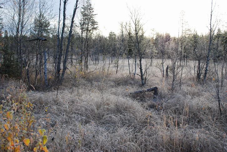 DSC_01872_resize.JPG ht=485