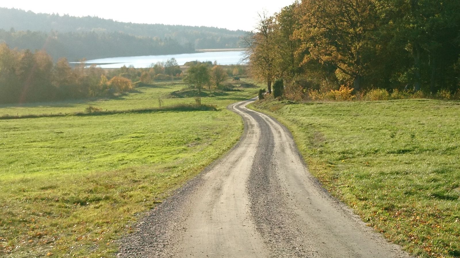 DSC_0187.JPG