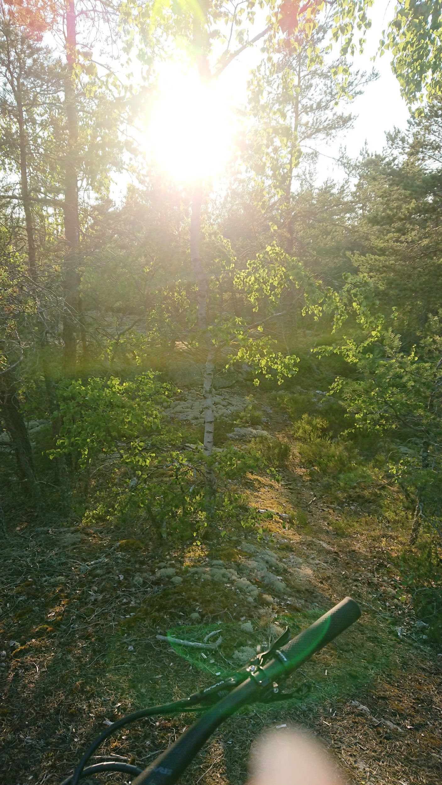 DSC_0189.JPG