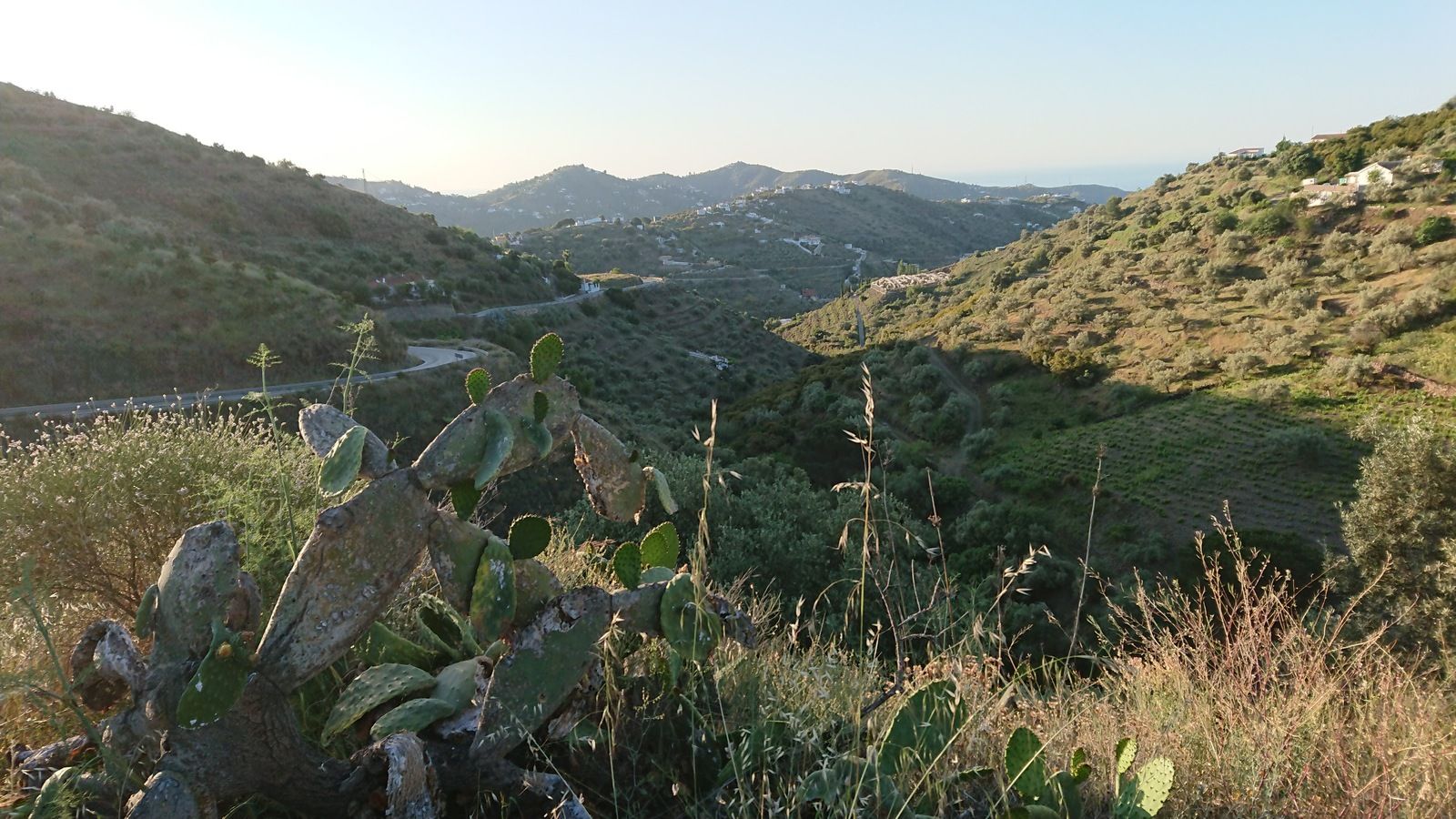 DSC_0198.JPG