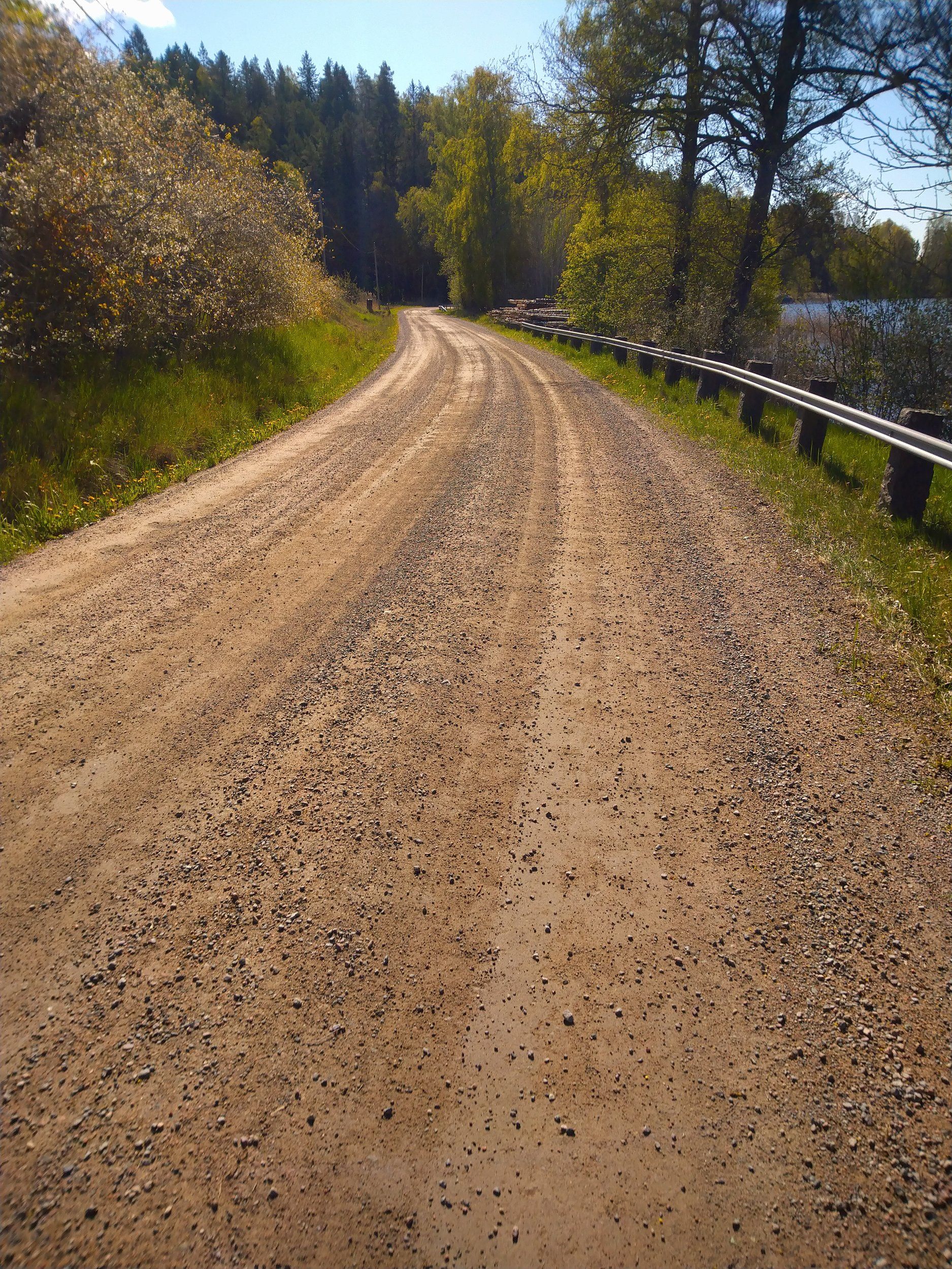 DSC_0203.JPG
