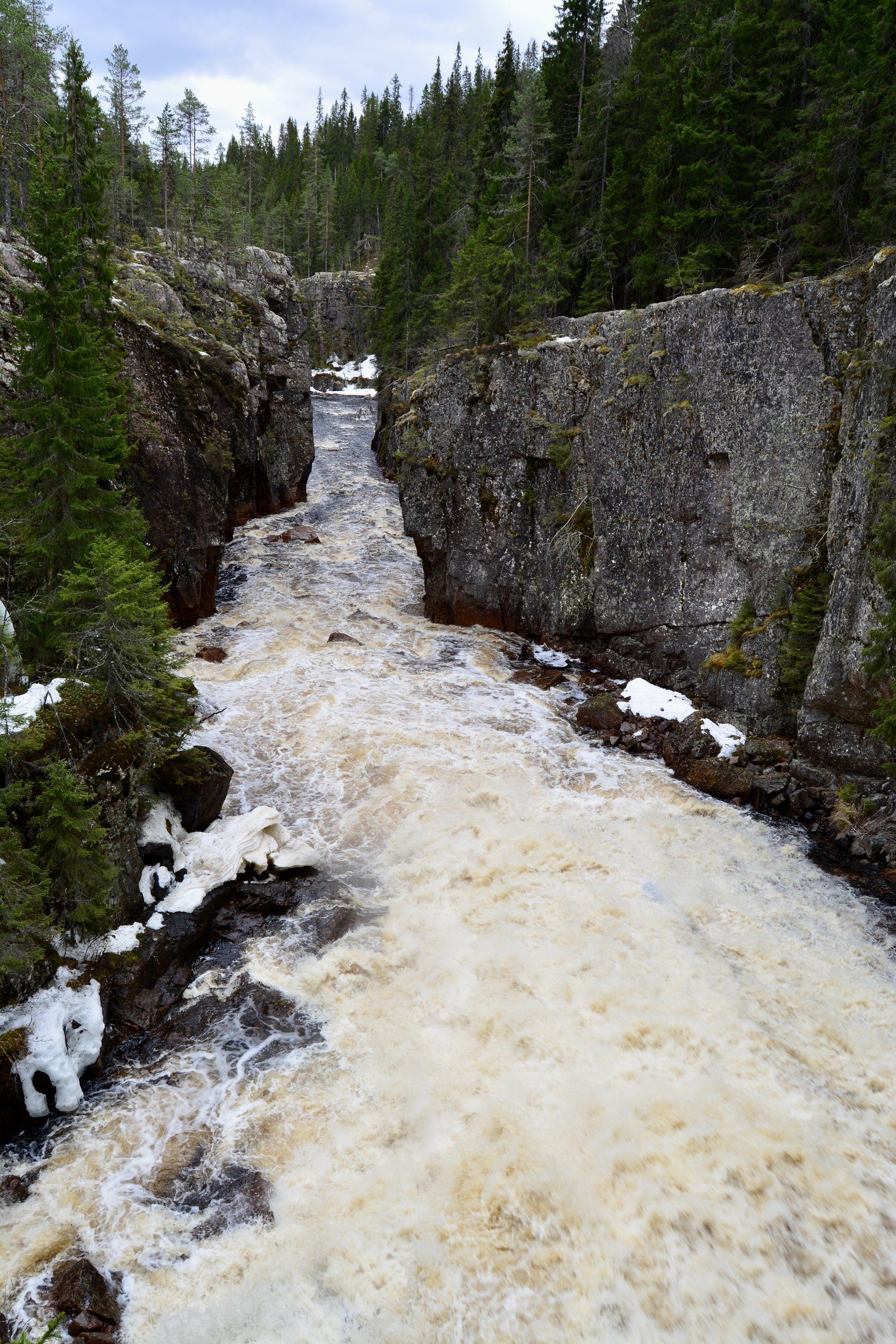 DSC_0204.JPG