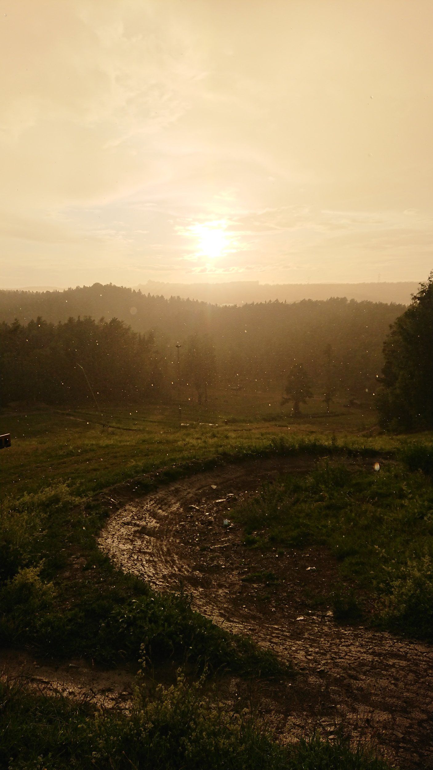 DSC_0205.JPG