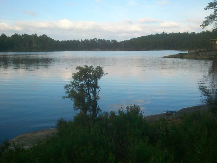 DSC_0209.jpg