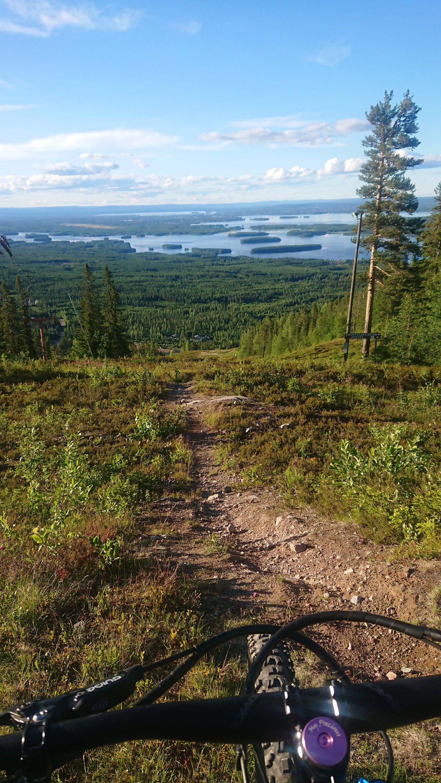 DSC_0213.JPG