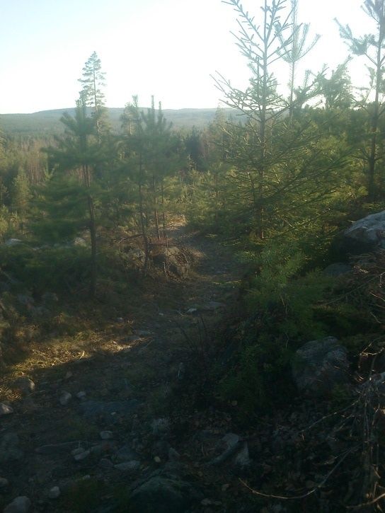 DSC_0237.JPG
