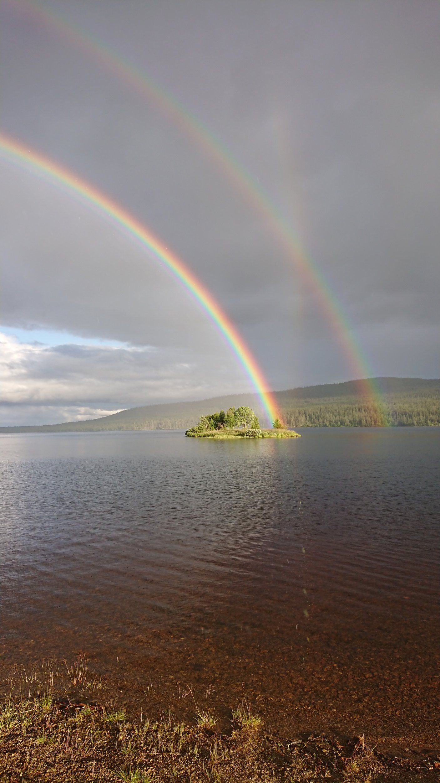 DSC_0266.JPG