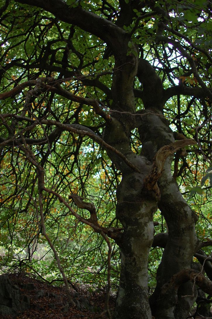 DSC_0289.JPG