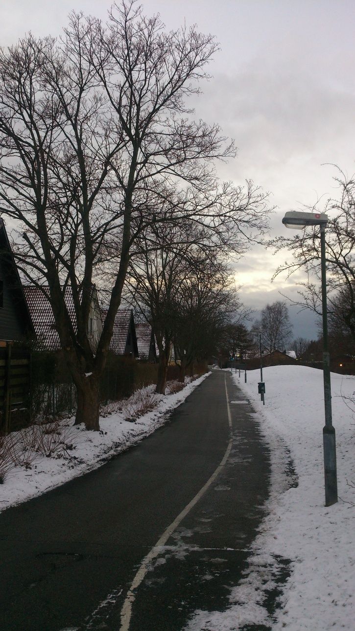 DSC_0289.JPG