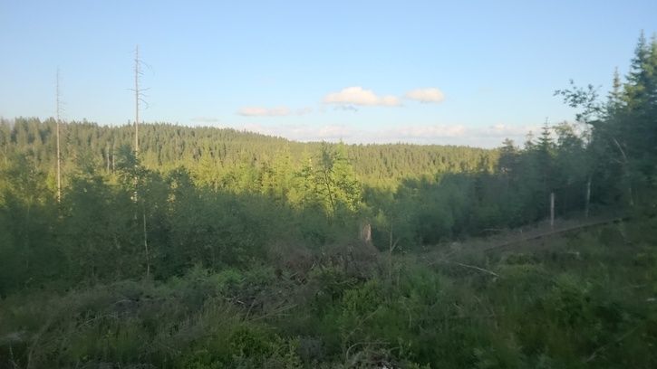 DSC_0299.JPG