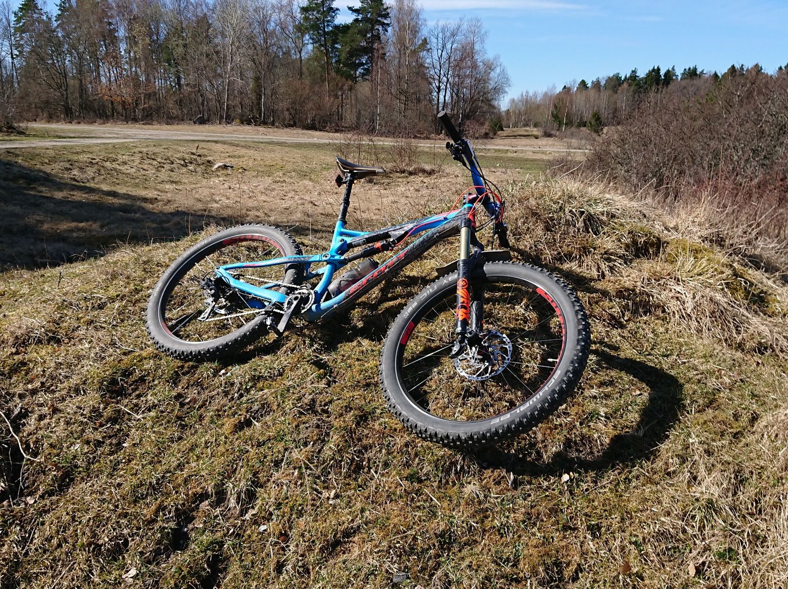 DSC_03251.jpg