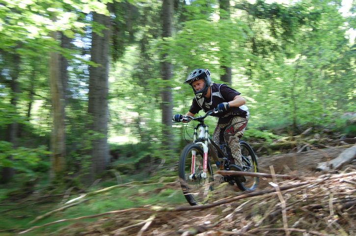 DSC_0331.JPG ht=481