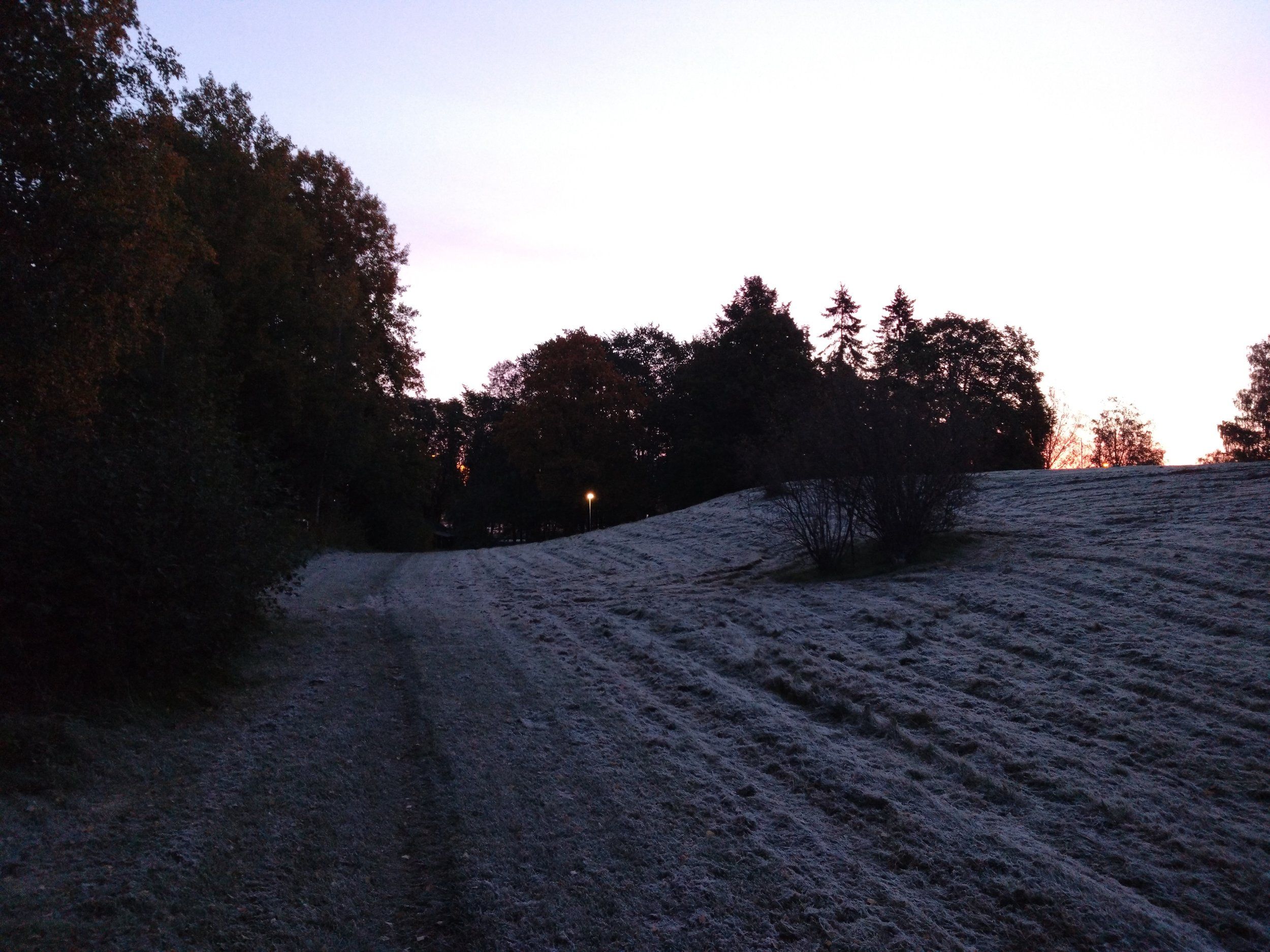 DSC_0339.JPG