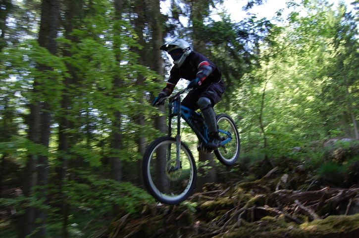 DSC_0342.JPG ht=481