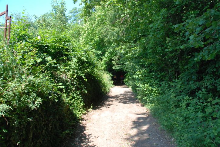 DSC_0345.JPG