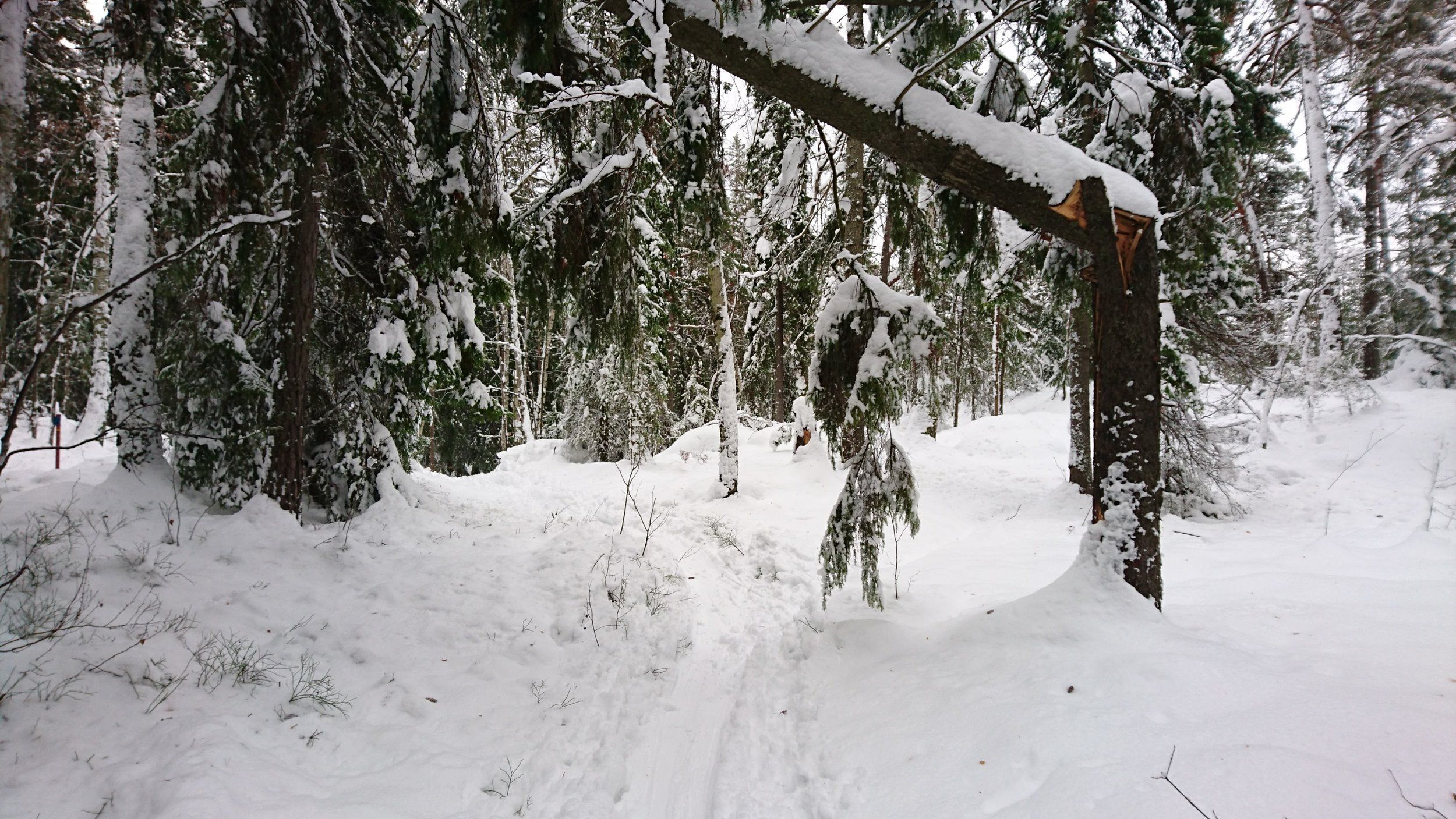 DSC_0351.jpg
