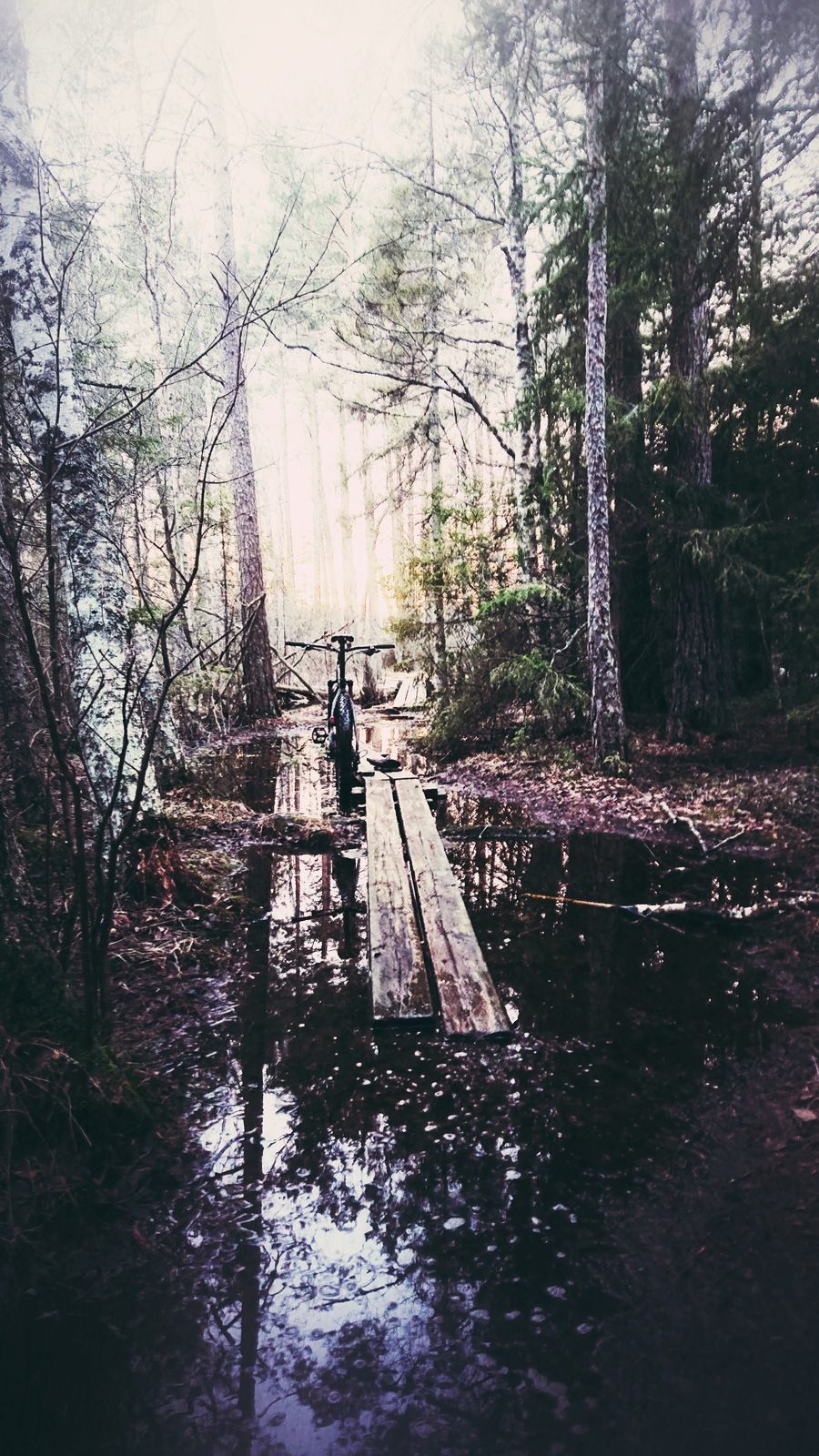 DSC_0359-01.jpeg