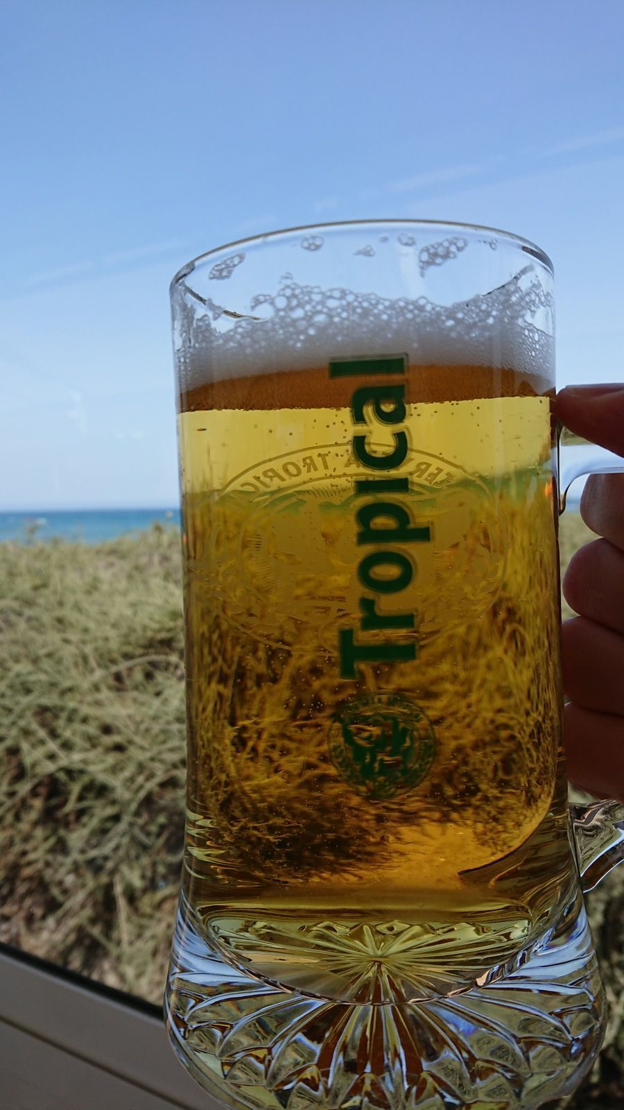 DSC_0382.JPG