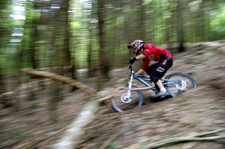 DSC_0397.JPG ht=481