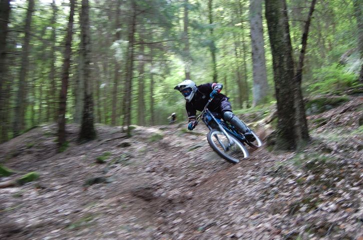 DSC_0401.JPG ht=481