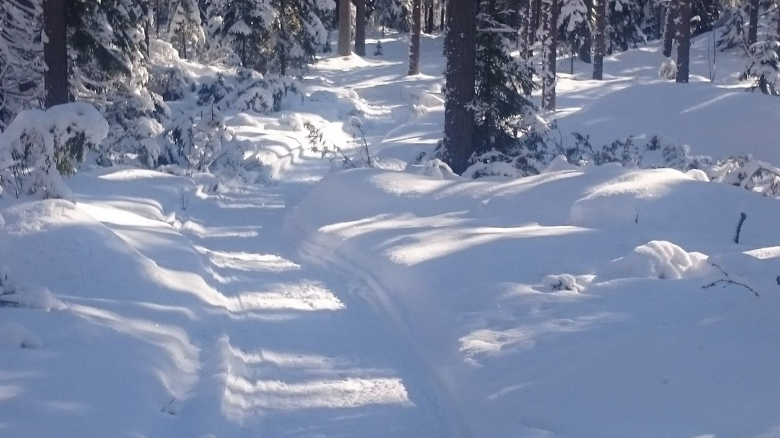 DSC_0402.JPG