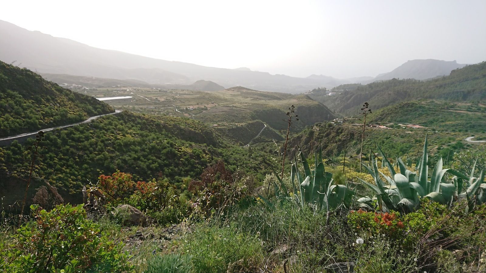 DSC_0405.JPG