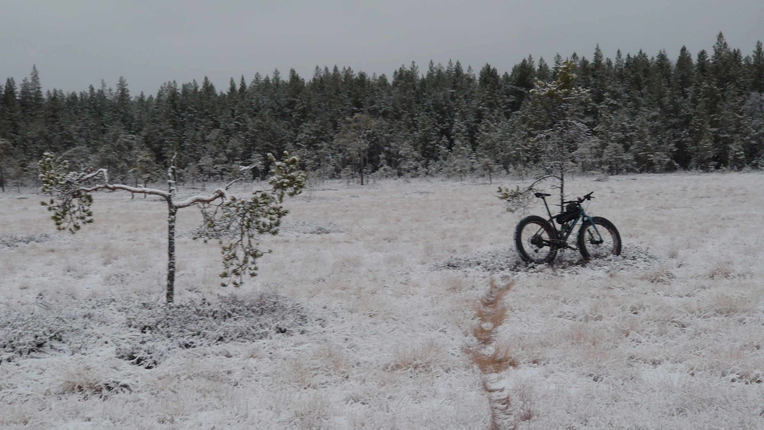 DSC_0412.JPG