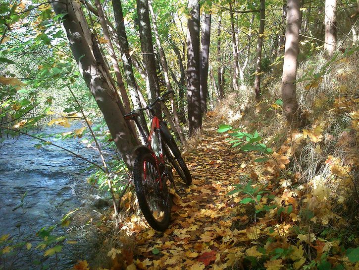 DSC_0428.jpg