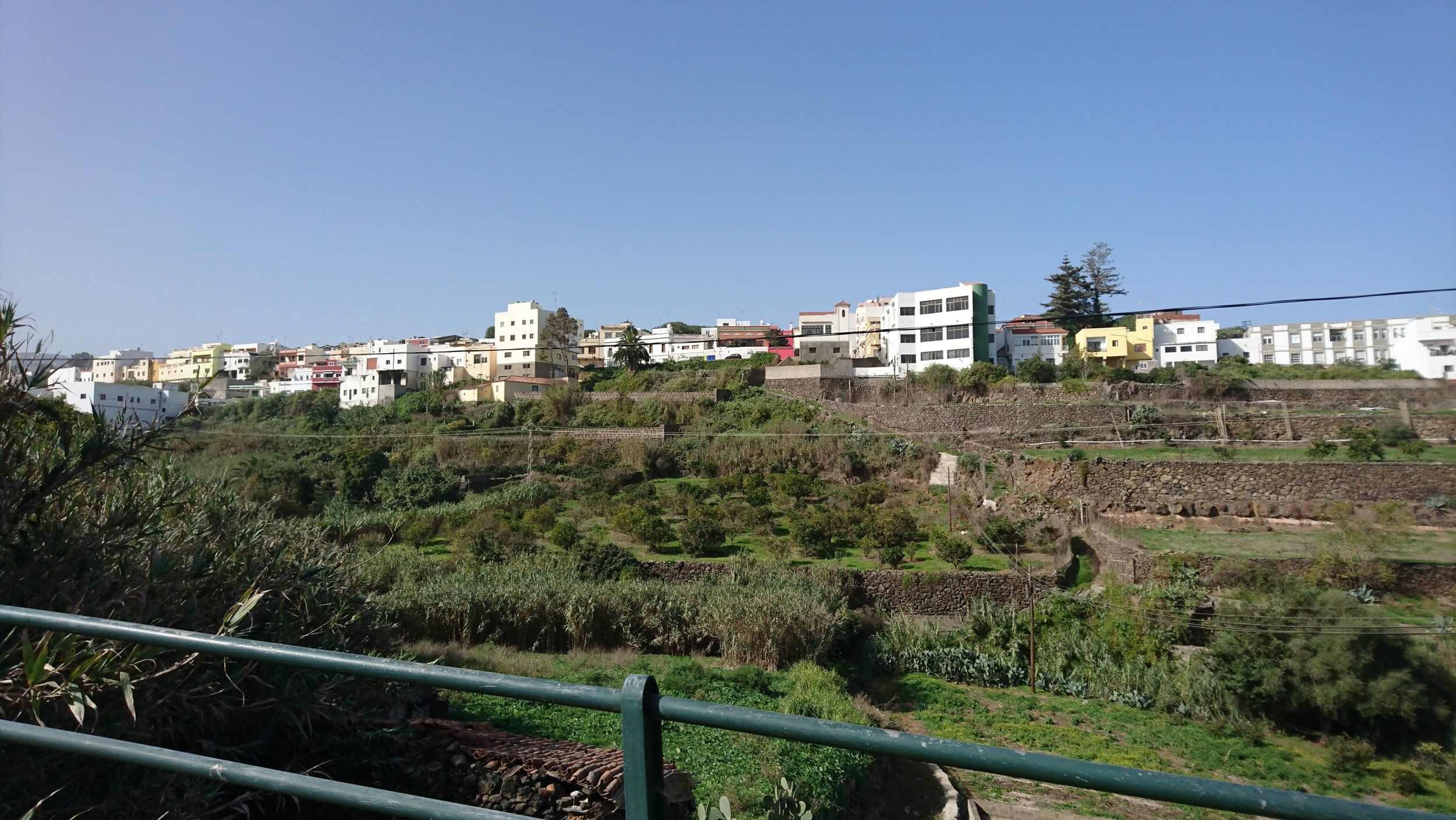 DSC_0449.JPG