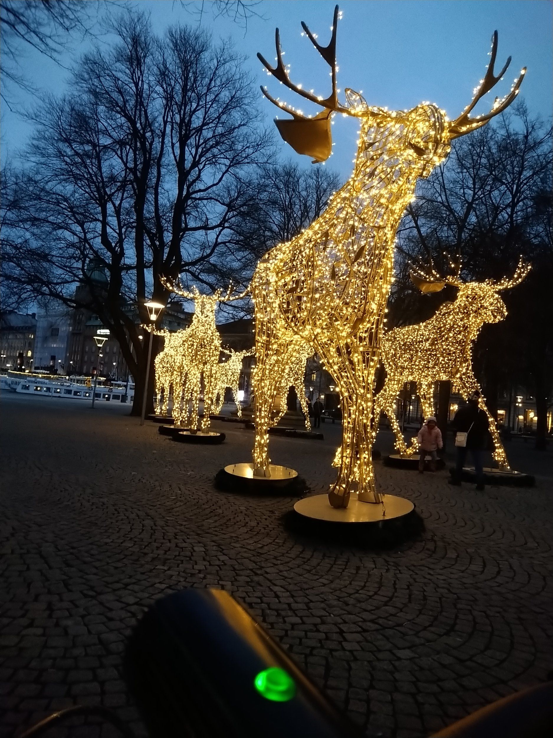 DSC_0455.JPG