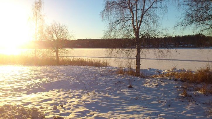 DSC_0459.jpg