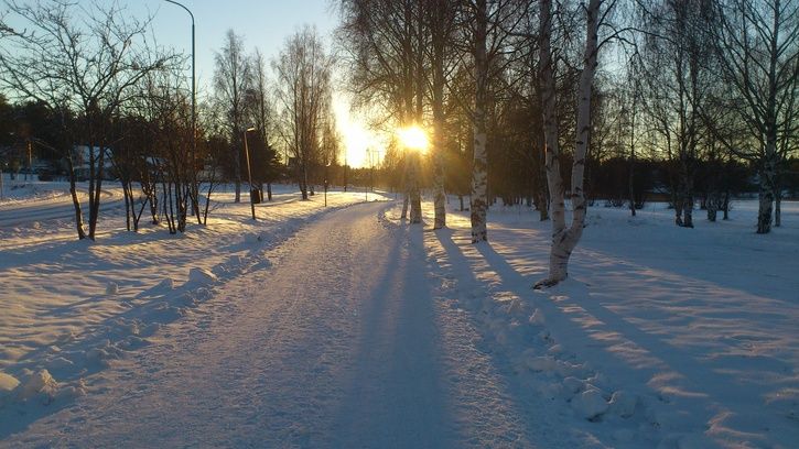 DSC_0460.jpg
