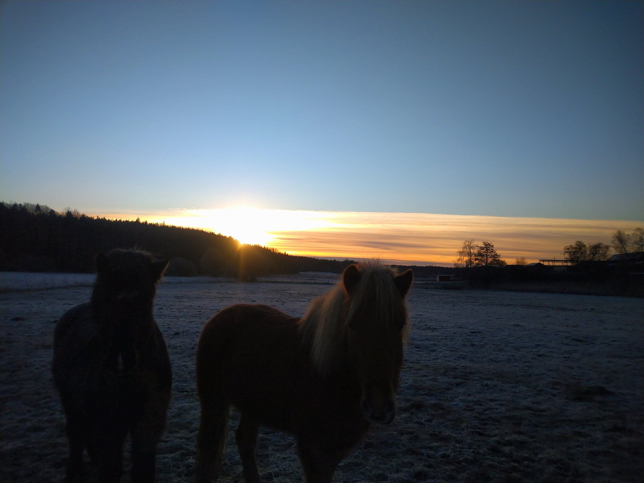 DSC_0476.JPG