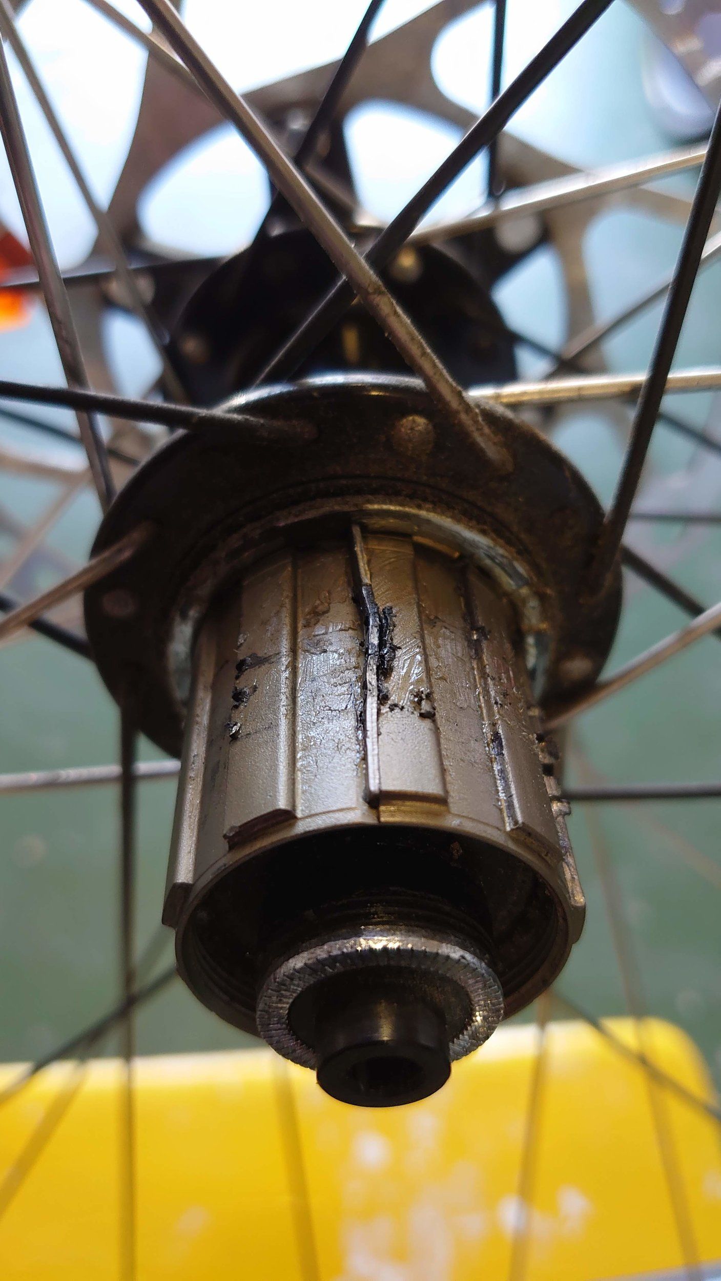 DSC_0492.jpg
